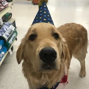 Meet your Posher, Carly